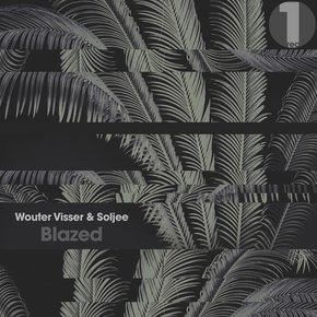 Wouter Visser & Soljee - Blazed 